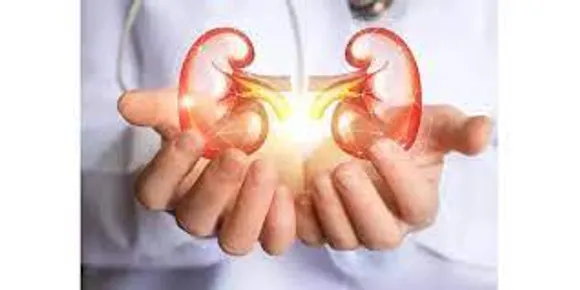 വൃക്കകളുടെ ആരോ​ഗ്യത്തിന് ഒഴിവാക്കേണ്ട ചില ഭക്ഷണങ്ങൾ എന്തൊക്കെയെന്ന് നോക്കാം...