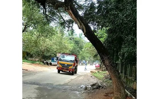 മലമ്പുഴ വനിതാ ഐ.ടി.ഐക്കു സമീപം റോഡരികിലെ മരം അപകടാവസ്ഥയിൽ; അധികൃതരുടെ അനാസ്ഥയില്‍ നാട്ടുകാര്‍ക്ക് പ്രതിഷേധം