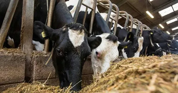 ഉത്തർപ്രദേശിൽ പശുവിനെ കശാപ്പ് ചെയ്ത 6 പേർ അറസ്റ്റിൽ; സ്ഥലത്ത് വെടിവപ്പ്