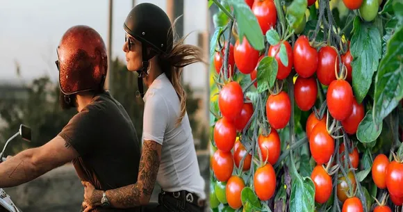 ഒരു കിലോ തക്കാളി സമ്മാനം; പക്ഷെ ഹെൽമറ്റ് ധരിക്കണം; വിലപിടിപ്പുള്ള സമ്മാനം വാഗ്ദാനം ചെയ്ത് ട്രാഫിക് പൊലീസ്