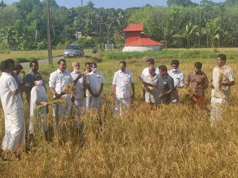 നാടിന് ആവേശമായി വിളക്കു മാടത്ത് കൊയ്ത്തുത്സവം