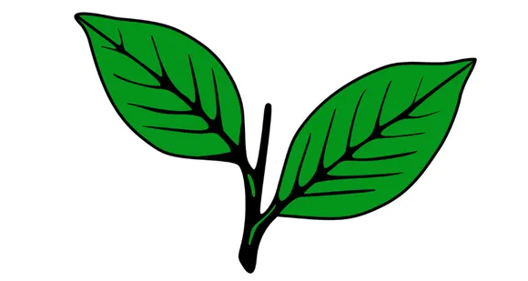 കേരളകോൺഗ്രസ് (എം) കടുത്തുരുത്തി നിയോജകമണ്ഡല നേതൃത്വയോഗം നിയമസഭ തെരഞ്ഞെടുപ്പ് വിഷയങ്ങൾ വിലയിരുത്തി. പ്രവർത്തക നേതൃത്വ യോഗം ചേരുന്നതിന് തിയതി നിശ്ചയിച്ചു