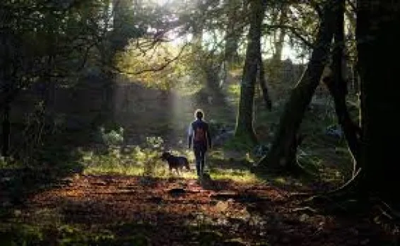 മേമനെകൊല്ലി - ഭാഗം 8