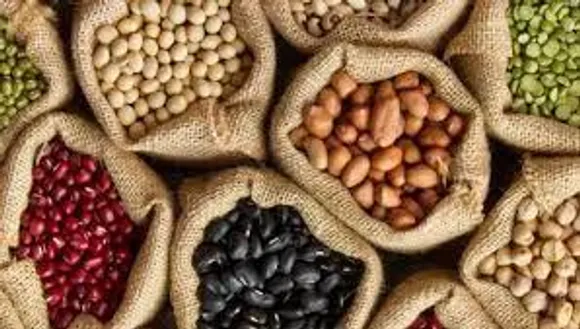 ധാന്യങ്ങൾ കുതിർത്ത വെള്ളം ഉപയോഗിക്കാമോ? പരിശോധിക്കാം