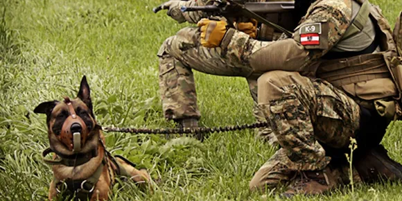 ഓസ്ട്രിയയില്‍ സൈന്യത്തിന്റെ ഭാഗമായ രണ്ടു നായ്ക്കള്‍ ചേര്‍ന്നു ഭക്ഷണം നല്‍കാനെത്തിയ സൈനികനെ കടിച്ചു കൊന്നു