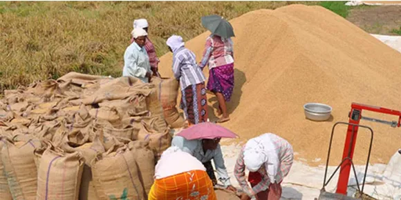 പാലക്കാട്ടെ നെൽകർഷകരോട് സർക്കാർ വിവേചനം കാട്ടുന്നു: കർഷകസംരക്ഷണ സമിതി