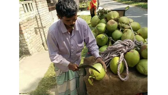 കരിക്കുകച്ചവടക്കാരൻ