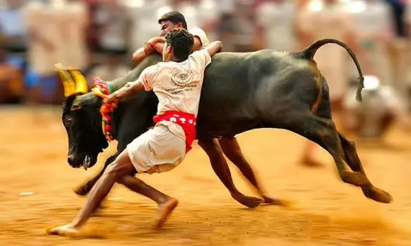 ജെല്ലിക്കെട്ട്, കാളയോട്ട മത്സരങ്ങള്‍ക്ക് അനുമതി നല്‍കി സുപ്രീം കോടതി