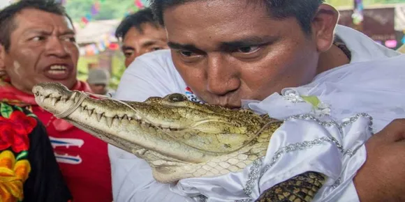 മെക്സിക്കന്‍ മേയര്‍ വീണ്ടും മുതലയെ കെട്ടി