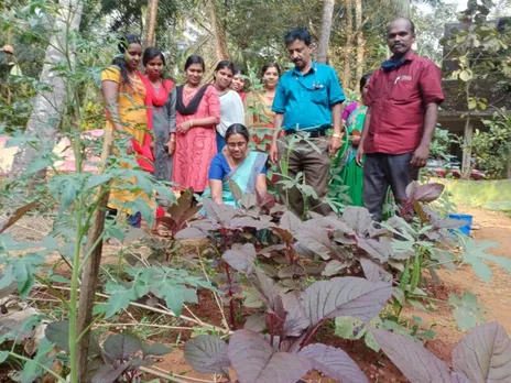 മലമ്മക്കാവ് ജനനി കുടുംബശ്രീ കൂട്ടായ്മ പച്ചക്കറി കൃഷി വിളവെടുപ്പ് നടത്തി