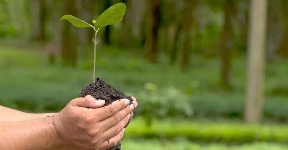 ഇടുക്കി ജില്ലയില്‍ ഹരിതകേരളം പദ്ധതി ; വൃക്ഷത്തൈകള്‍ വിതരണം ചെയ്യും