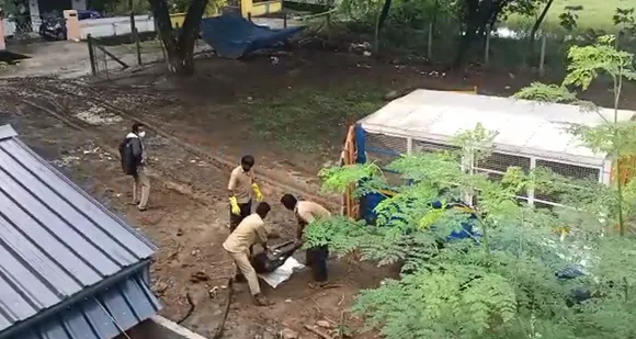 പാലക്കാട് കൽവാകുളത്തെ സ്വകാര്യ വ്യക്തിയുടെ തൊടിയില്‍ സംരക്ഷിച്ചിരുന്ന രണ്ടു പോത്തുകൾ കൂടി ചത്തു ! നഗരസഭയും പോത്തും പരിസരവാസികളും പെട്ടു...