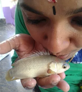 കറിച്ചട്ടിയിലേക്കുള്ള യാത്രക്കിടെ ജീവിതത്തിലേക്കു നീന്തിക്കയറിയ "ആയുസി"ന്റെ അതിജീവനത്തിന് ഒരു വയസ്സ് കഴിഞ്ഞു !