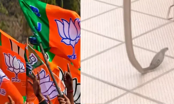 കര്‍ണാടക ബിജെപി ക്യാമ്പ് ഓഫീസില്‍ പാമ്പ്,  പാമ്പിനെ കണ്ടെത്തിയത് ഷിഗോണിലെ ക്യാമ്പ് ഓഫീസിൽ