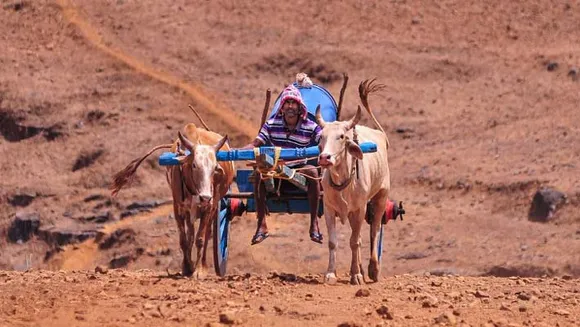കോവിഡ് -19 ;ലോകമാകെ രോഗബാധിതർ - 63 ലക്ഷം, ഇതുവരെ രോഗവിമുക്തരായവർ - 28.5 ലക്ഷം...ഏറ്റവും പുതിയ വിവരങ്ങൾ ഇങ്ങനെ
