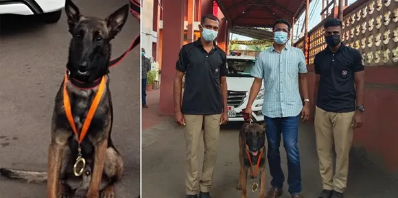 അർജ്ജുൻ.. ബി അലേർട്ട് ! റൂറൽ പോലീസ് സേനയ്ക്ക് കരുത്തായി ഇനി അർജ്ജുനെന്ന ശ്വാനനും