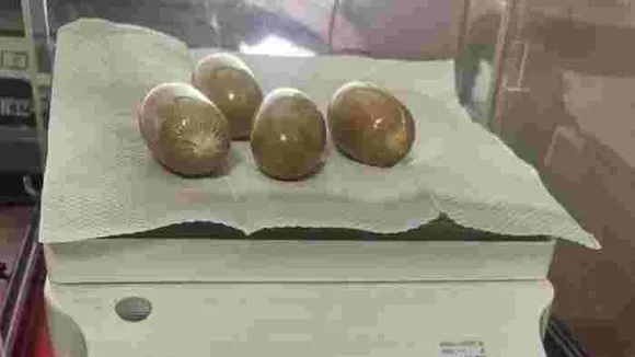 മലദ്വാരത്തിലൊളിപ്പിച്ച് സ്വർണം കടത്താൻ ശ്രമം, മുഹമ്മദിൽ നിന്ന് കസ്റ്റംസ് പിടിച്ചത് ഒരു കിലോ സ്വർണം