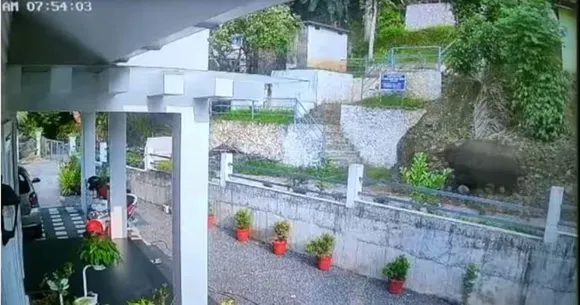 കണമല കാട്ടുപോത്ത് ആക്രമണത്തില്‍ കൊല്ലപ്പെട്ട ചാക്കോയുടെ സംസ്‌കാരം ഇന്ന്; പോത്തിനായി വനംവകുപ്പിന്റെ തെരച്ചില്‍