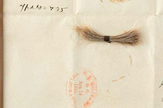 എബ്രഹാം ലിങ്കന്റെ തലമുടി ലേലത്തിൽ പോയത് 81,000 ഡോളറിന്