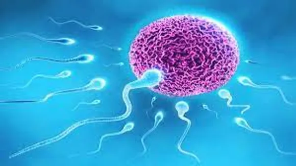 ബീജത്തിന്റെ ആരോഗ്യം മെച്ചപ്പെടുത്താൻ ശ്രദ്ധിക്കേണ്ട കാര്യങ്ങൾ നോക്കാം..