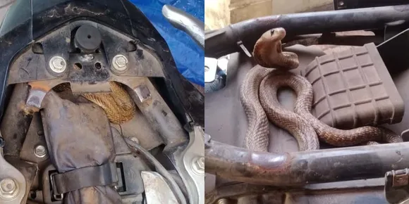 ബൈക്കിനുള്ളിൽ കയറിയ മൂർഖൻ പാമ്പിനെ പിടികൂടി