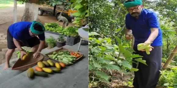 ജയറാമിന്റ പച്ചക്കറി വിളവെടുപ്പ് ഇൻസ്റ്റഗ്രാമിൽ... അഭിനന്ദനങ്ങളുമായി ആരാധകർ