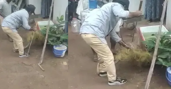 മൈലാപ്പൂരിൽ പാമ്പു പിടിക്കുന്നതിനിടെ പാമ്പുപിടിത്തക്കാരന് കടിയേറ്റു; മൂർഖന്റെ കടിയേറ്റിട്ടും പിടികൂടി കുപ്പിയിലാക്കി