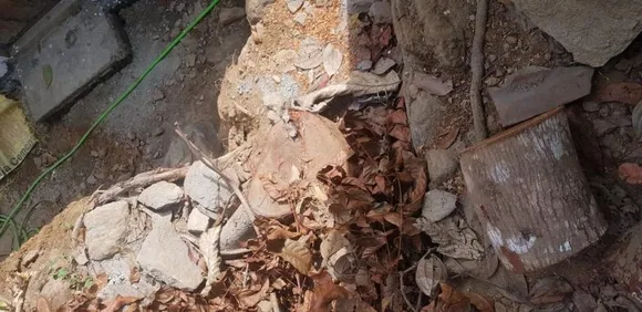 തൊടുപുഴയിൽ അയല്‍വാസി തടി വെട്ടി കടത്തിയ സംഭവത്തില്‍ പോലീസും ഗ്രാമപഞ്ചായത്ത്‌ അധികൃതരും നടപടി സ്വീകരിക്കുന്നില്ലെന്ന്‌ പരാതി