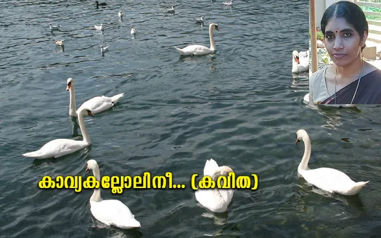 കാവ്യകല്ലോലിനീ... (കവിത)