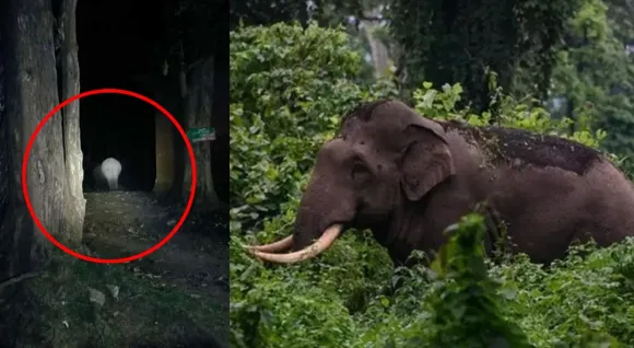 അരികൊമ്പൻ വീണ്ടും കുമളിക്ക് സമീപം; ഇത്തവണ എത്തിയത് ജനവാസമേഖലക്ക് നൂറു മീറ്റർ അകലെ