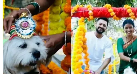 സമൂഹമാധ്യമങ്ങളില്‍ ഏറെ പ്രകീര്‍ത്തിക്കപ്പെട്ട ഈ നായസ്നേഹം അപാരം !