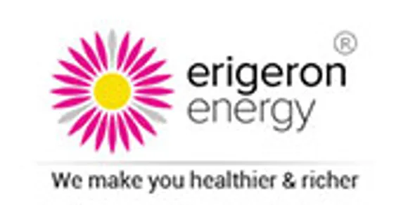 ERIGERON ENERGY PVT LTD