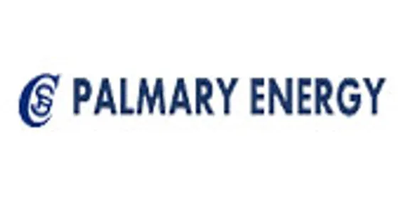 PALMARY BUSINESS SOLUTION CONSULTING PRIVATE LIMITED