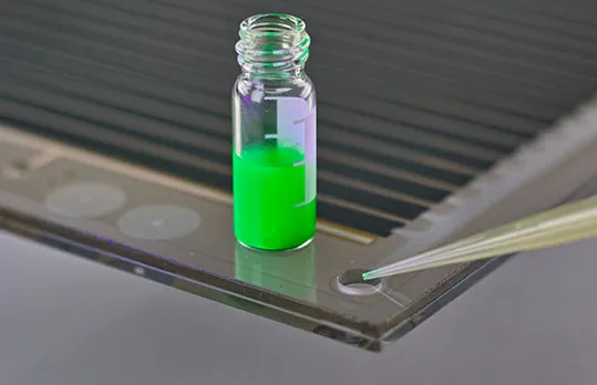 Perovskite Solar Cells
