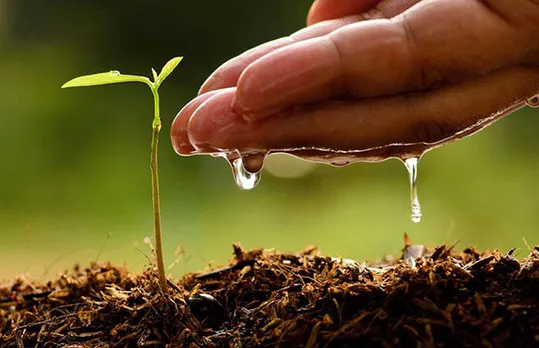 Grow Green