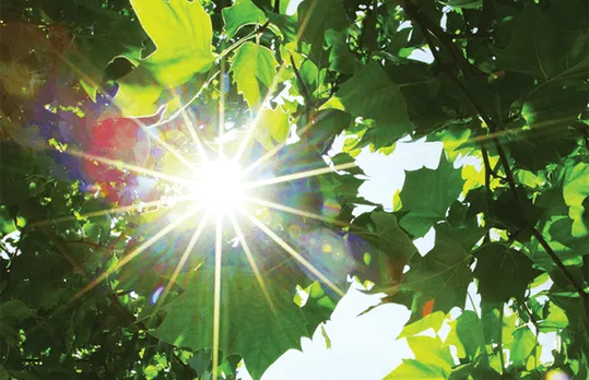 Fuel Sunlight CO2 Water