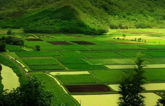 mizoram solar power plant