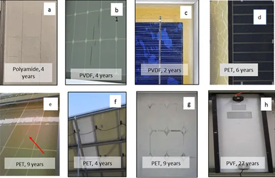 backsheet defects