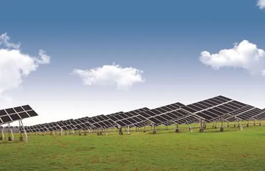 LONGi Solar Announces Project, Module Contracts Worth 313 MW