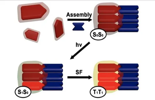 Self-Assembling Nanomaterials Offer Affordable Harnessing of Solar Power