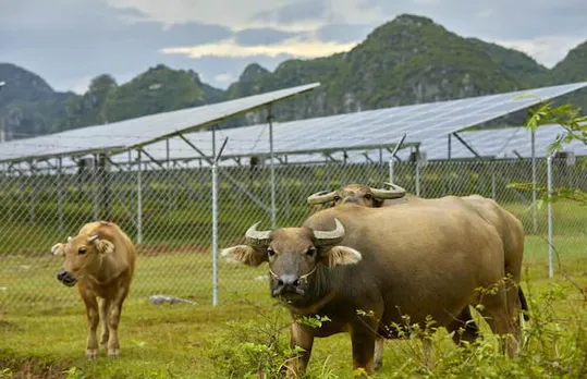 solar power plant in Tamil Nadu