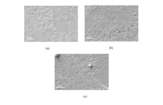 Top down SEM images of Poly Si