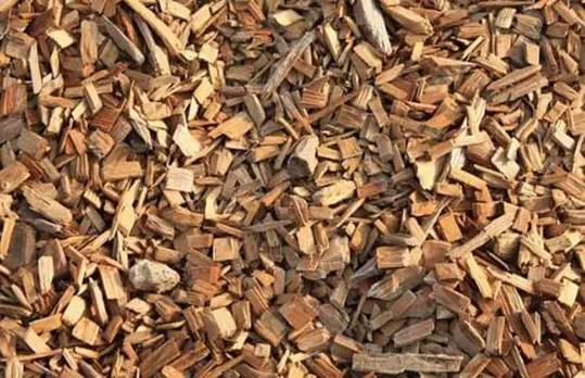 biomass