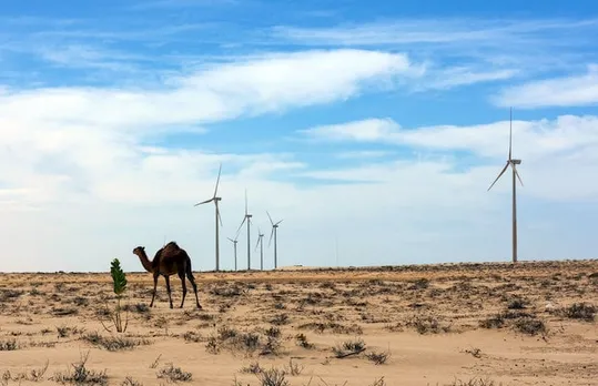 CFM Partners With Ampyr for 138 MW Wind Energy Project in India