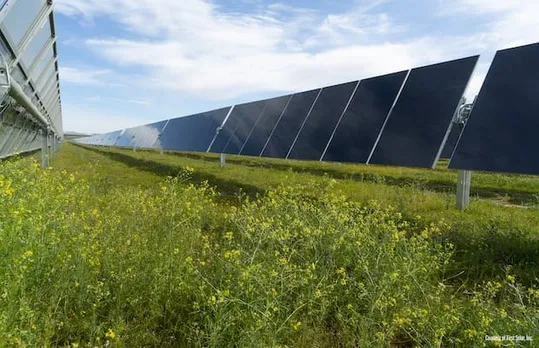 SECI 50 MW Solar Project Tamil Nadu