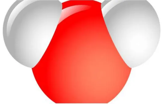 water molecule