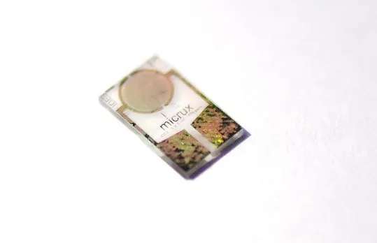 Butterfly Hydrogen Sensor