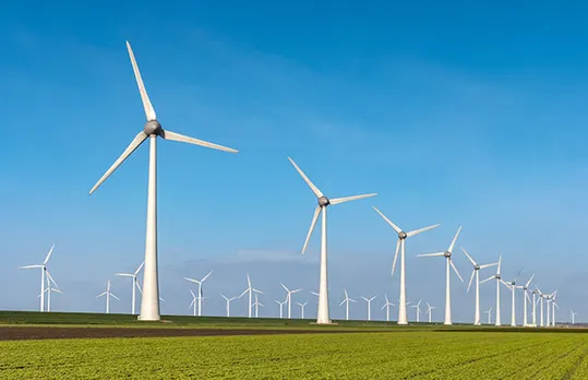 wind farm