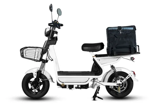 eBikeGo Recycle EV Waste