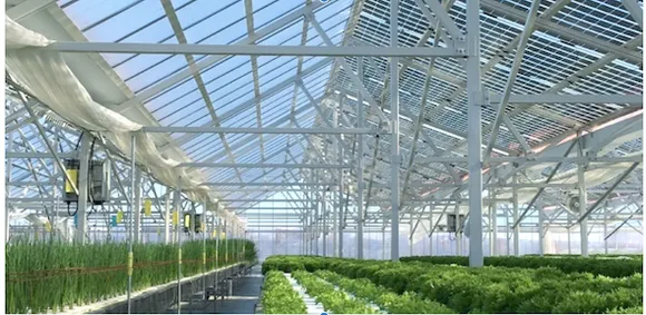 Agrivoltaics Promise Coexistence With Agriculture For Solar